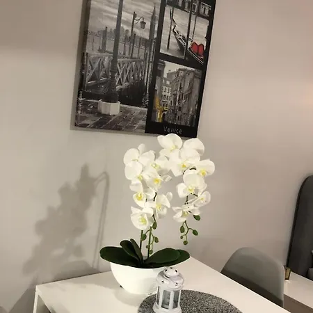 Apartamenty Na Zdrojowej *